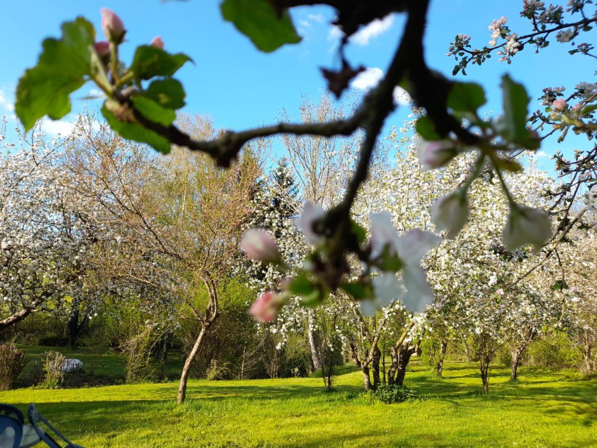 Domaine Pastel Bed and Breakfast Besson Εξωτερικό φωτογραφία
