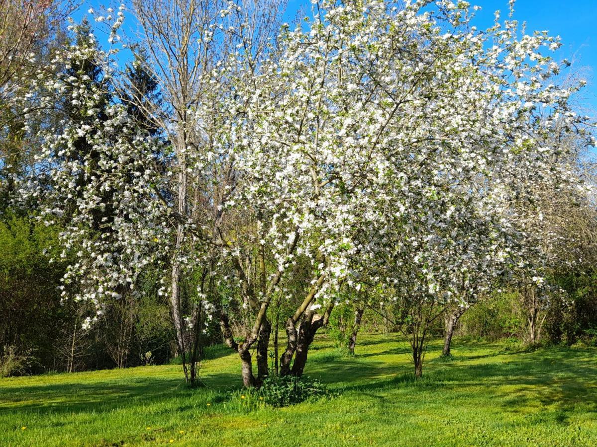 Domaine Pastel Bed and Breakfast Besson Εξωτερικό φωτογραφία
