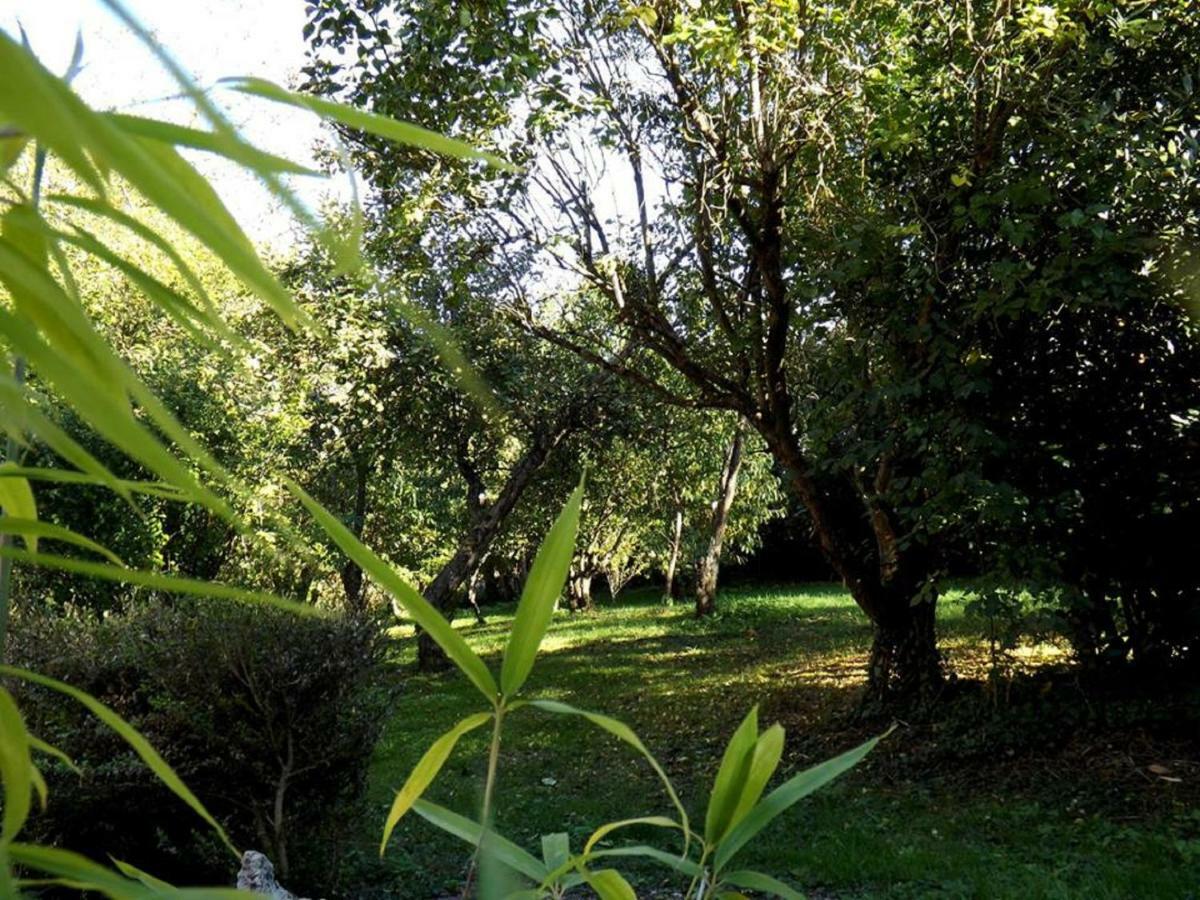 Domaine Pastel Bed and Breakfast Besson Εξωτερικό φωτογραφία